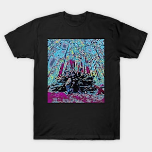 Trippy Redwoods T-Shirt